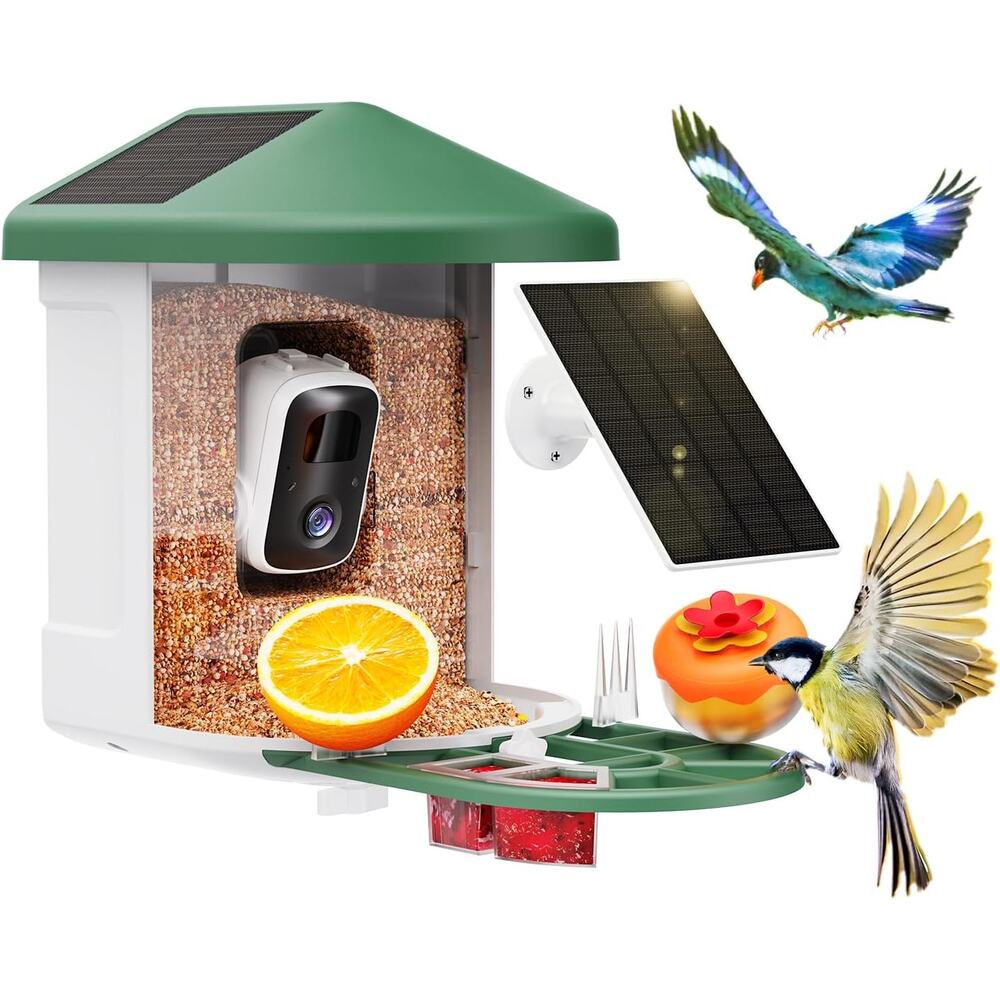Smart Bird Feeder with Camera AI Bird Identification Solar Panel 2K Live View